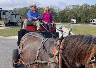 horse ride at Homestead RV community