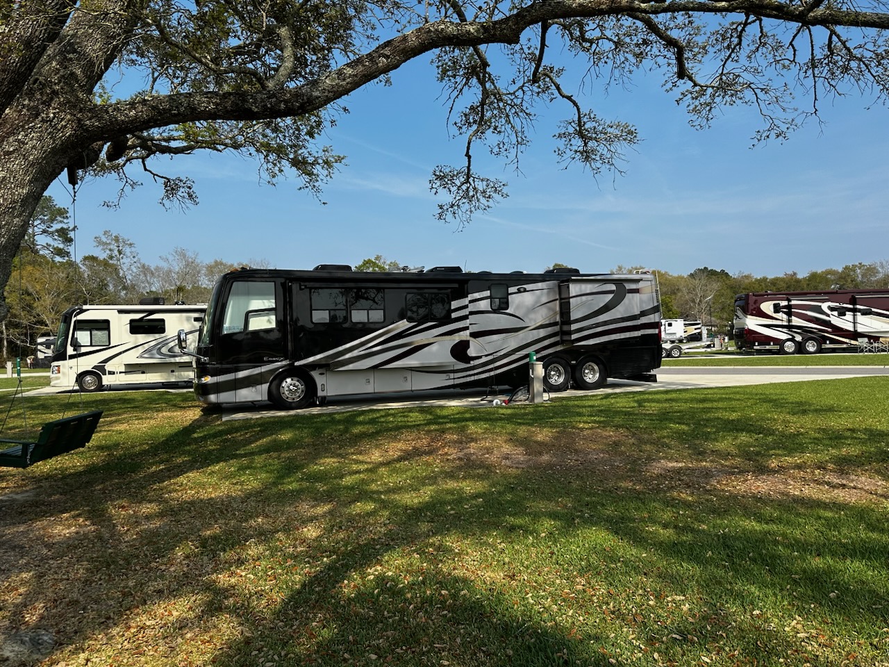 Homestead RV Community view from under the signature tree.