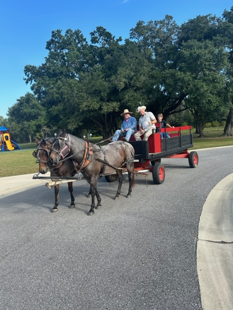 Horses and wagon rides at Homestead RV Community