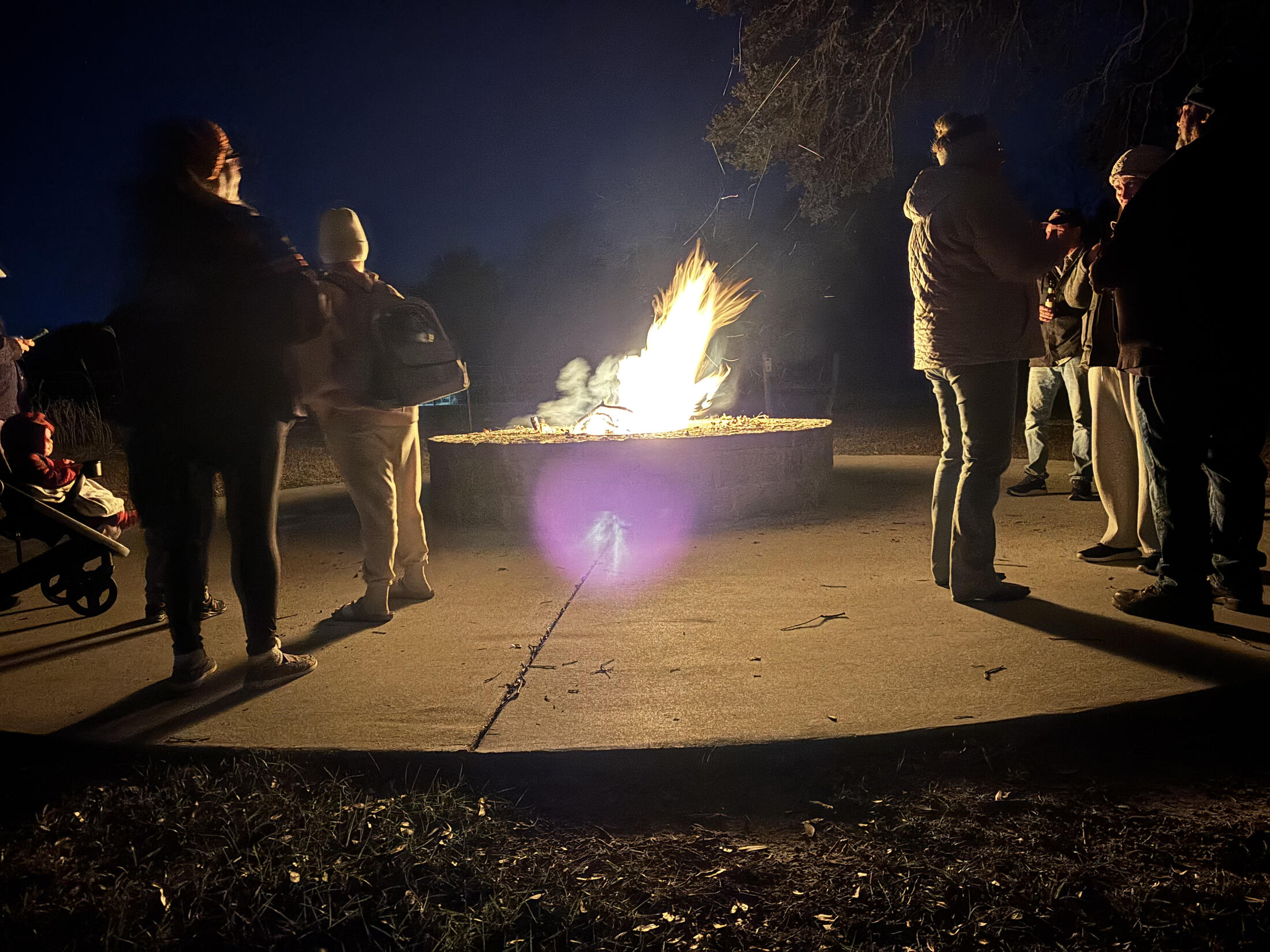 swing under a shady oak tree at Homestead RV Community
